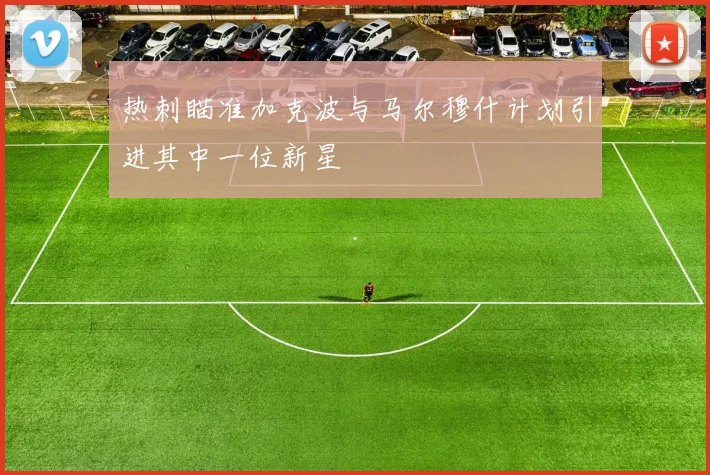 热刺瞄准加克波与马尔穆什计划引进其中一位新星