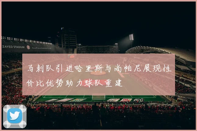 马刺队引进哈里斯与尚帕尼展现性价比优势助力球队重建