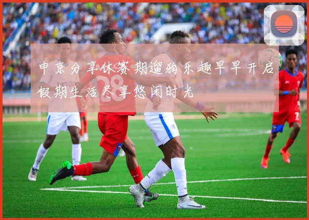 申京分享休赛期遛狗乐趣早早开启假期生活尽享悠闲时光