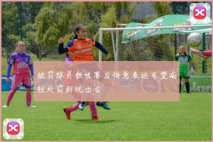 被罚球员教练赛后悔意表达可望减轻处罚新规出台