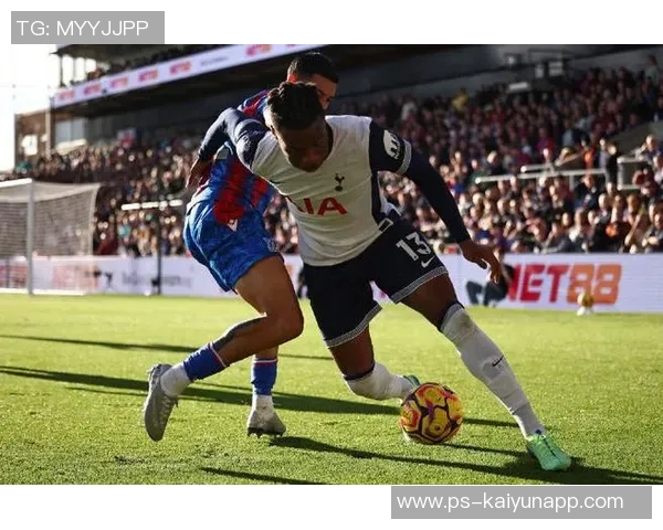 前水晶宫老板遭9700万美元索赔多家俱乐部集团陷入财务危机